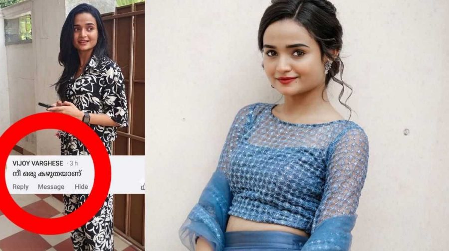 meenakshi-donkey-troll