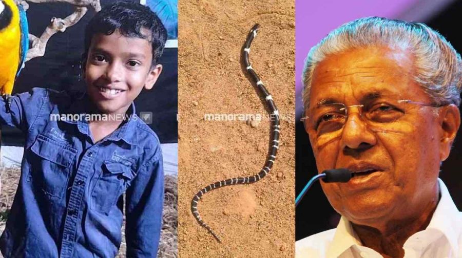 stay-safe-kerala-heatwave