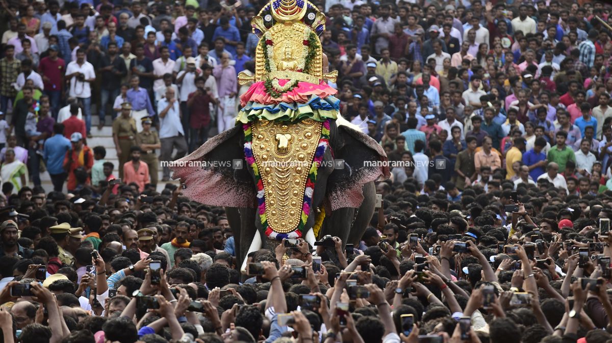 Shivaraju: The Long-Awaited Thrissur Pooram Elephant | തിടമ്പിനായി ...