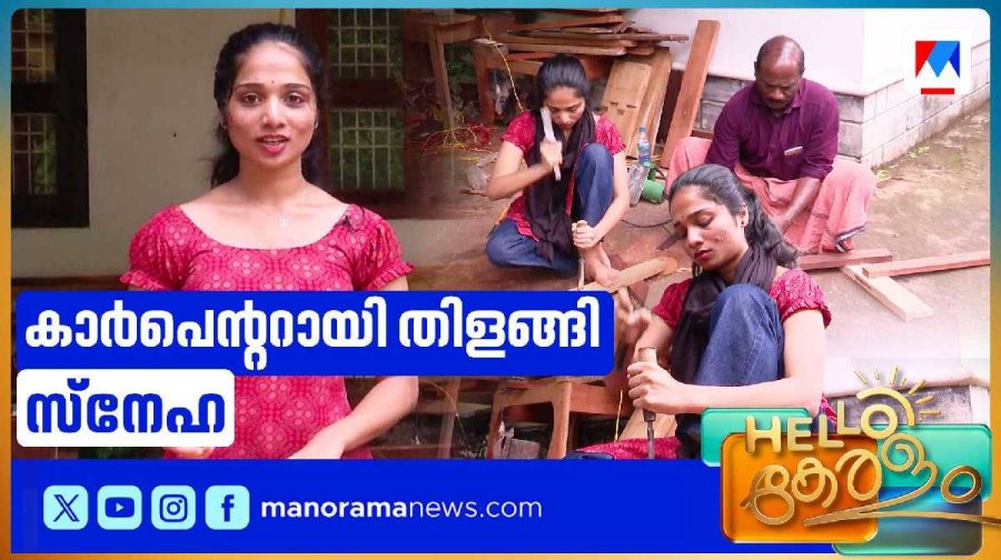 sneha-story