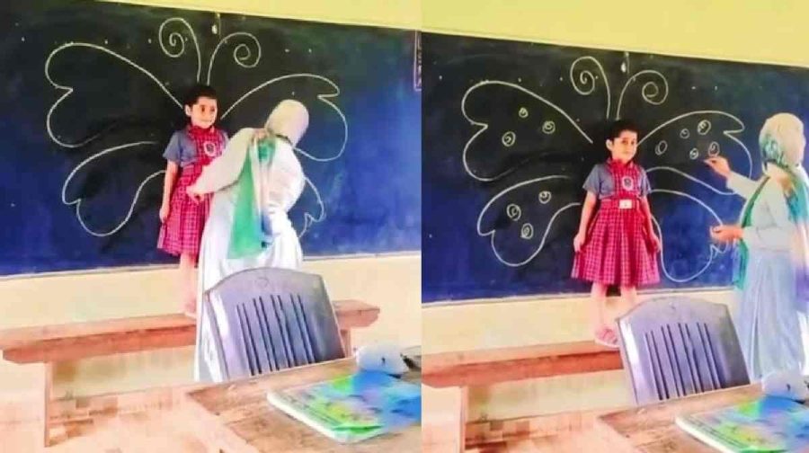 teacher-student