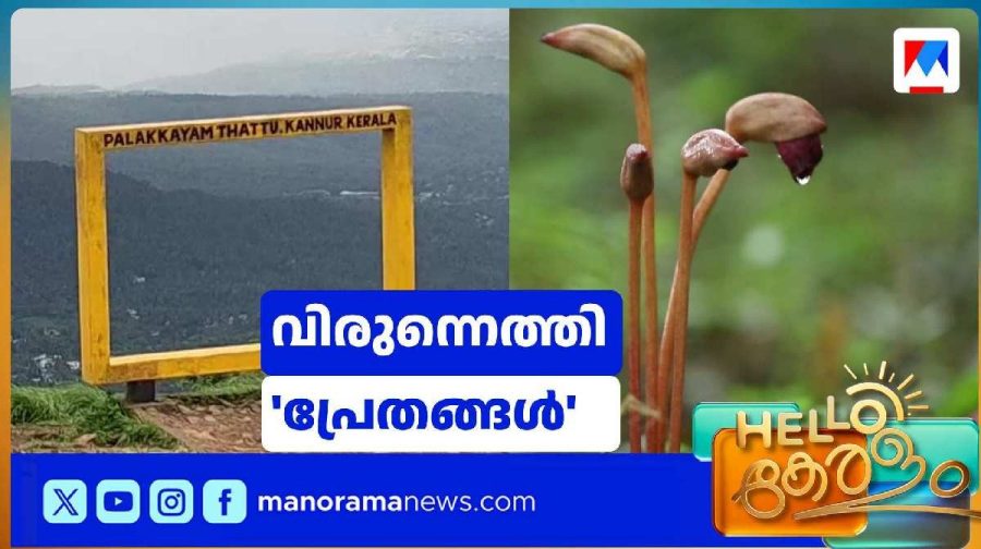 palakkad