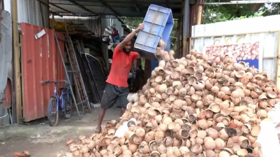 coconut-shell