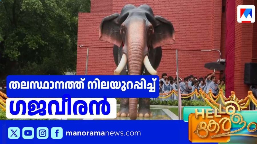 kerala-elephent