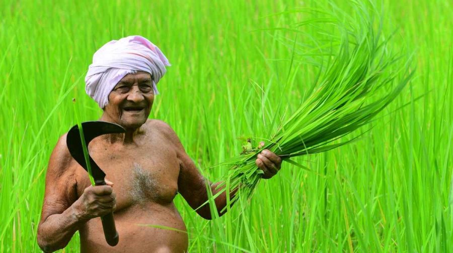 chingam-1-kerala-festive-season