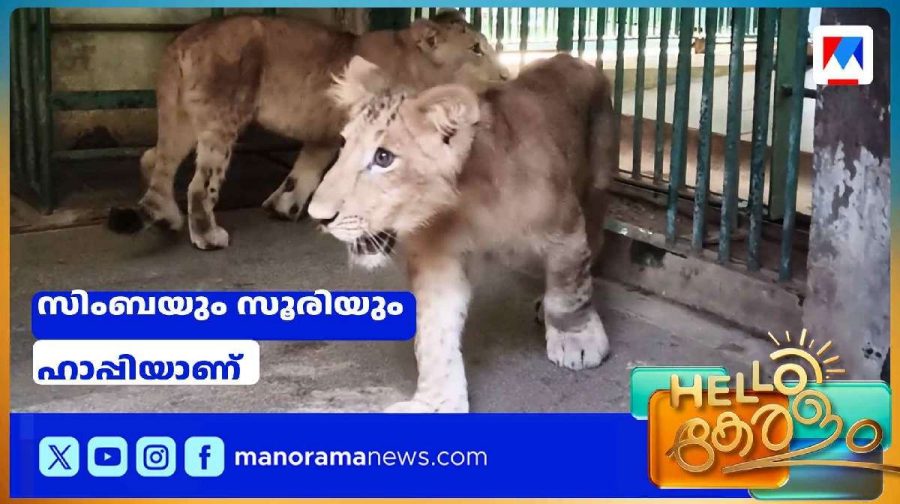 zoo-tvm