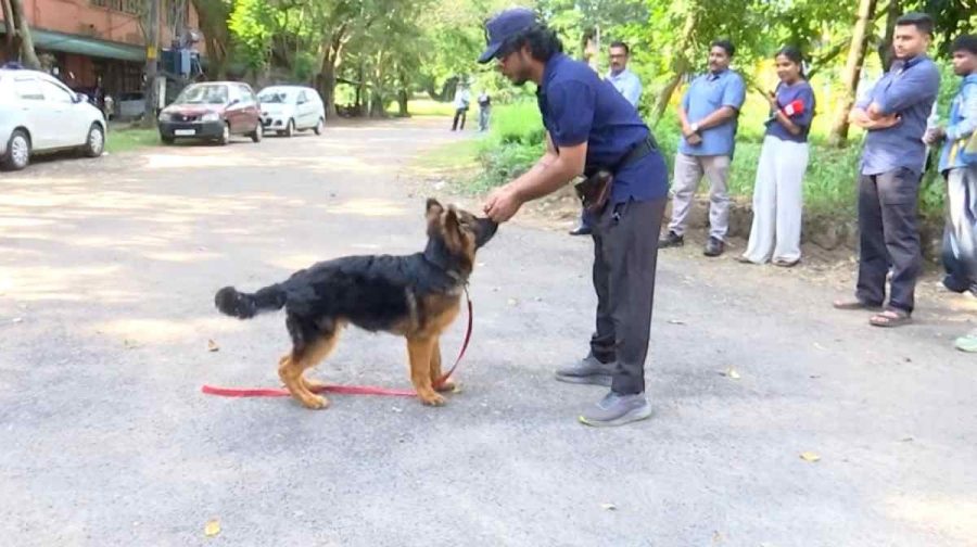 dog-training-trissur
