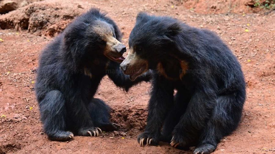 thiruvanathapuram-zoo