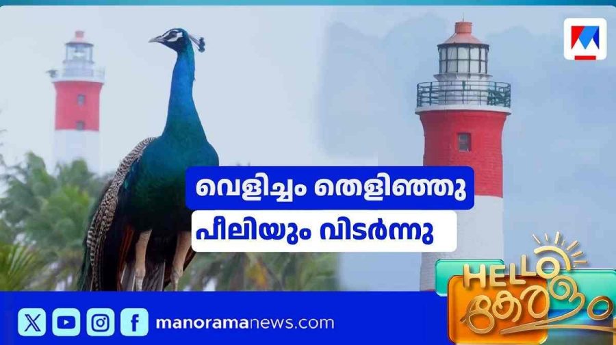 vizhinjam-light-house-peacock