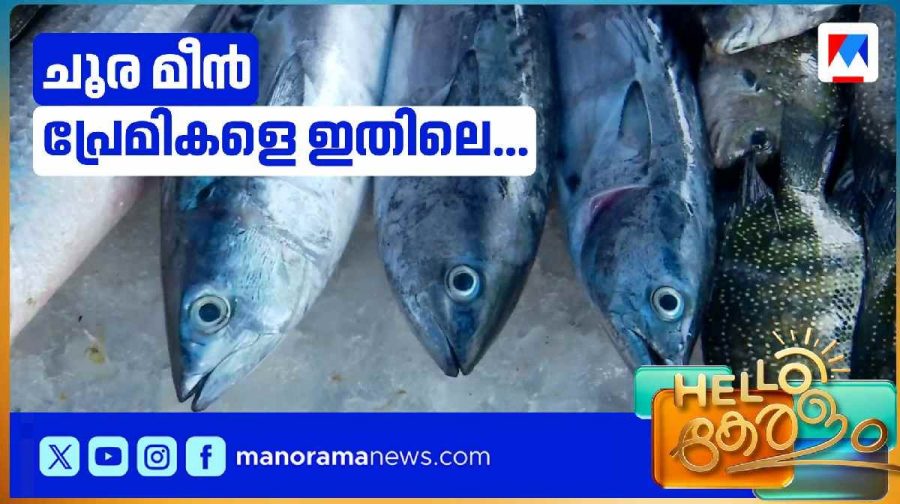 choora-fish
