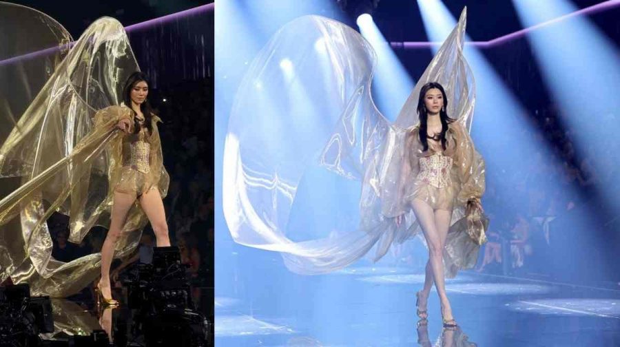 victorea-secret-wings-fabric