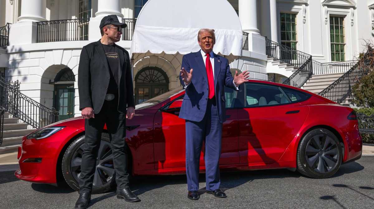 trump-musk