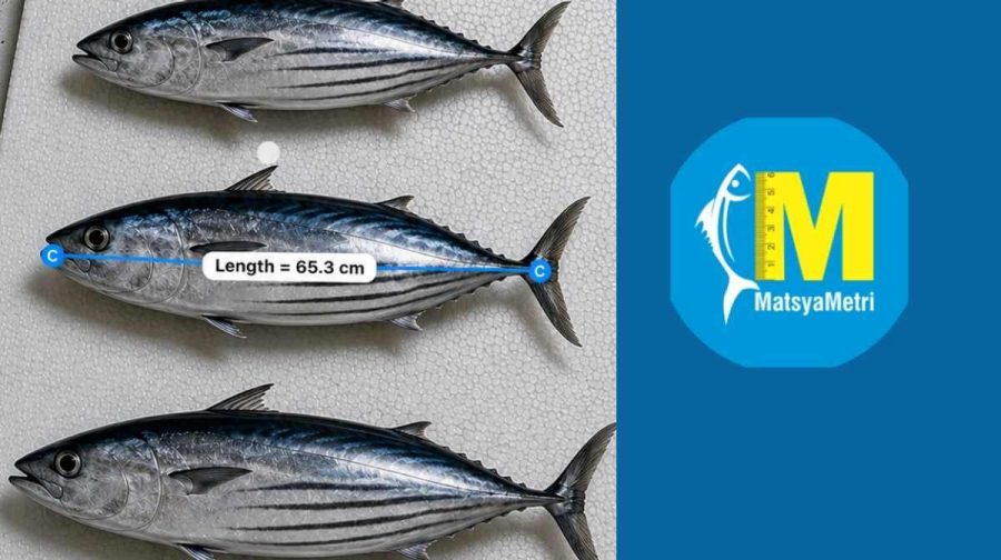 cmfri-matsyametri-mobile-app-measure-fish-smartphones
