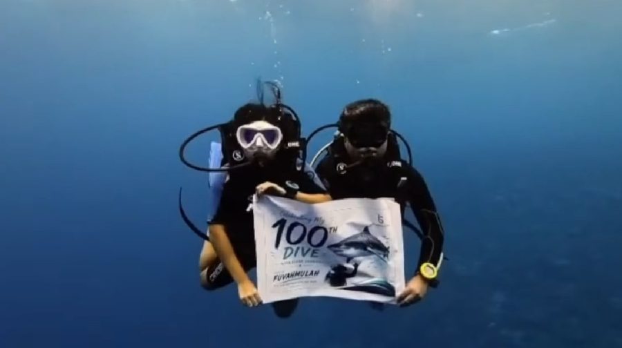tiger-sharks-scuba-diving-milestone