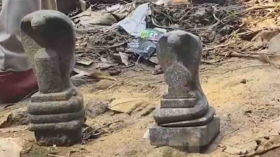 mundakkai