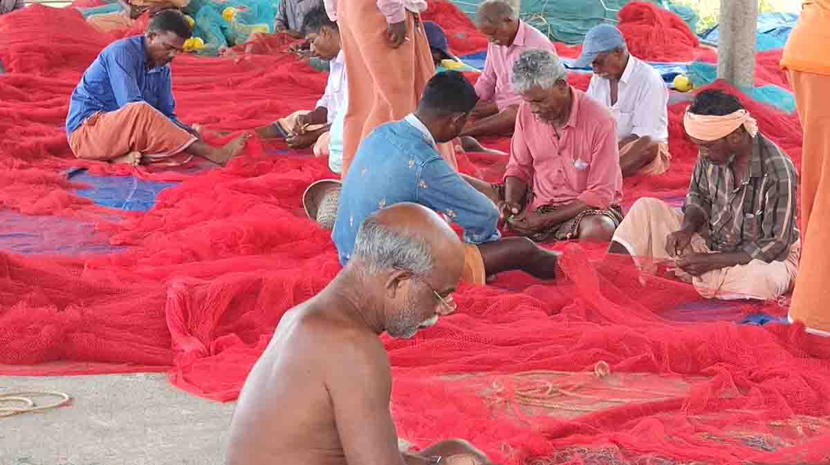 kodungallor-fishharber