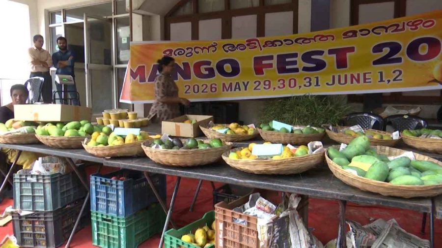 mango-fest
