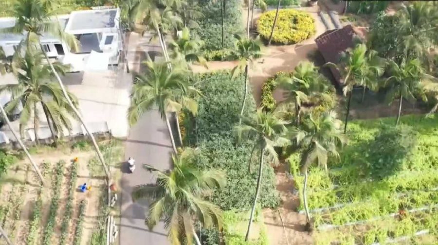 free-dialysis-vegetable-farm-charity