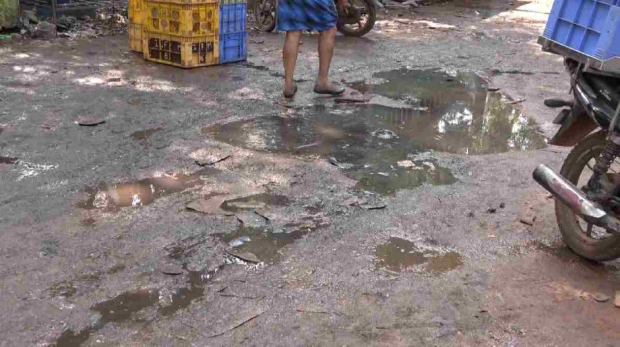 haliyamFishLandingCenter