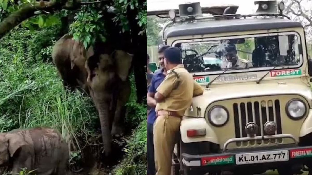 operation-gajamukthi-aralam