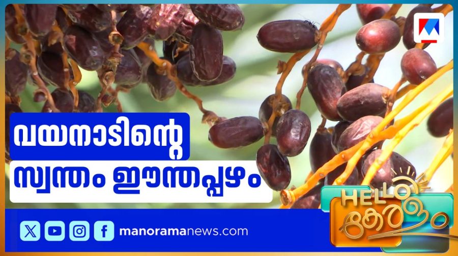 dates--hello-keralam-
