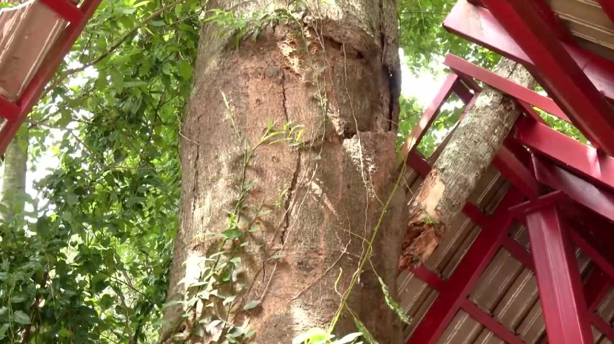 park-safety-concerns-kozhikode