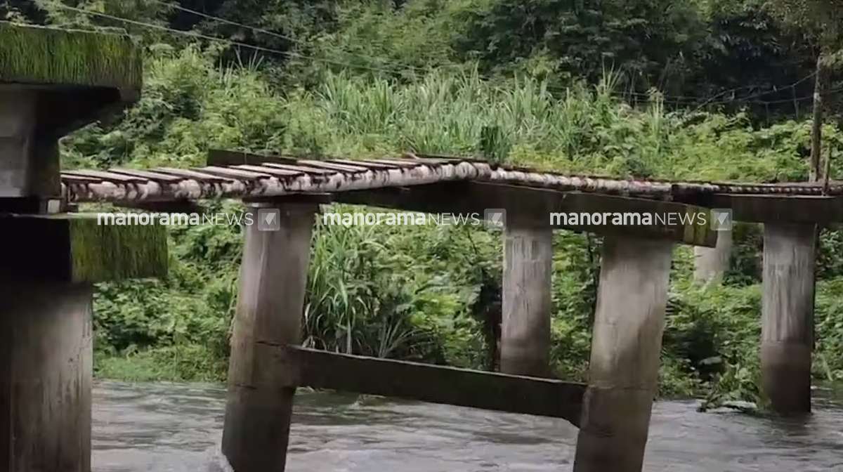 aralam-bridge