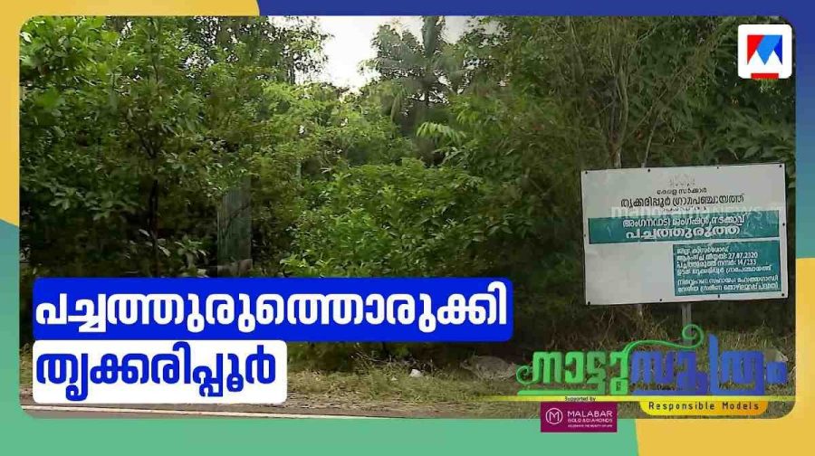 thrikkarippur-miyawaki