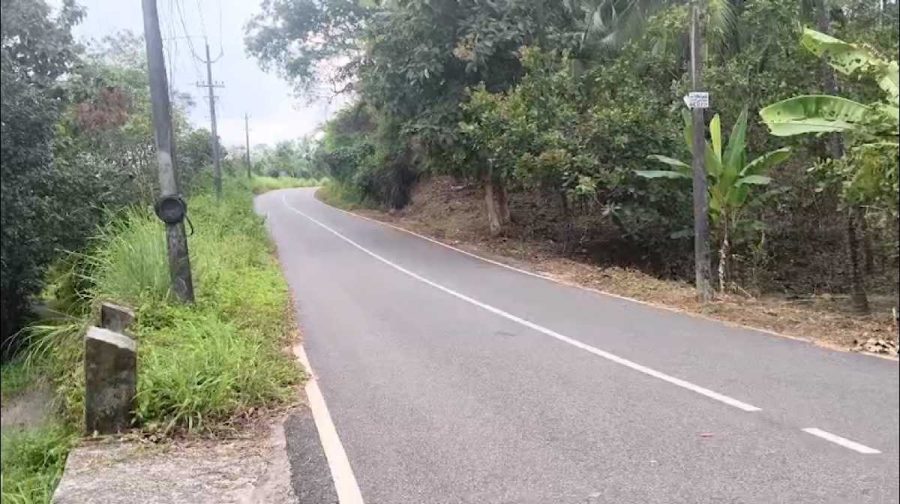 kallar