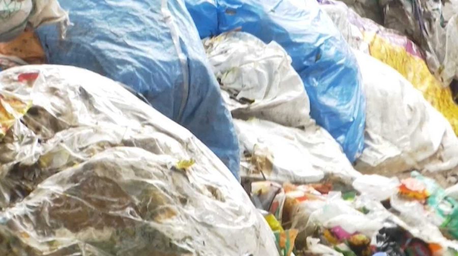 waste-1