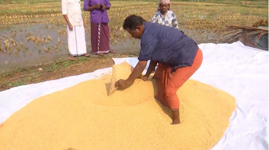 farmer-crisis