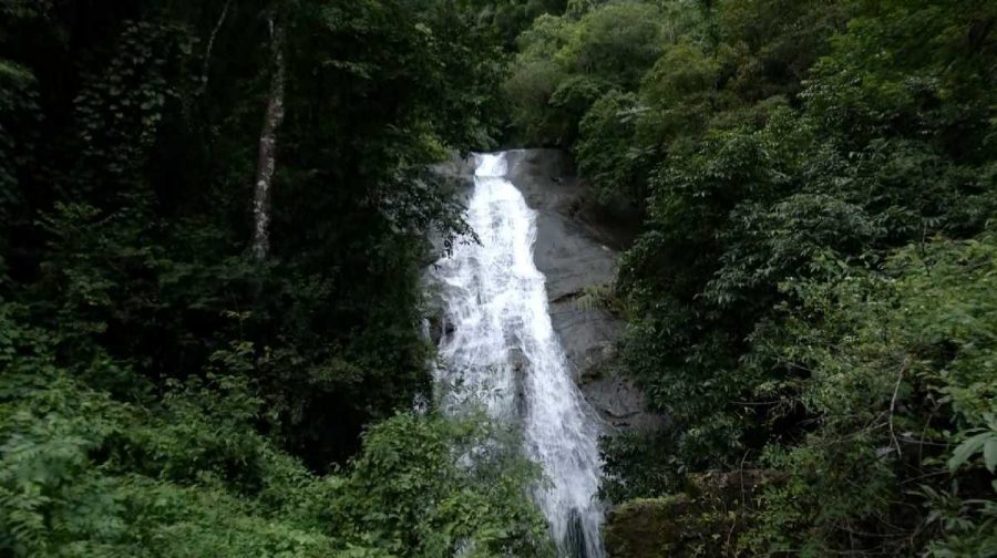 nelliyampathy-1