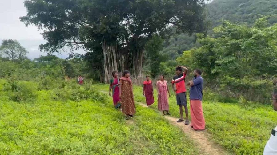 palakkadtribal