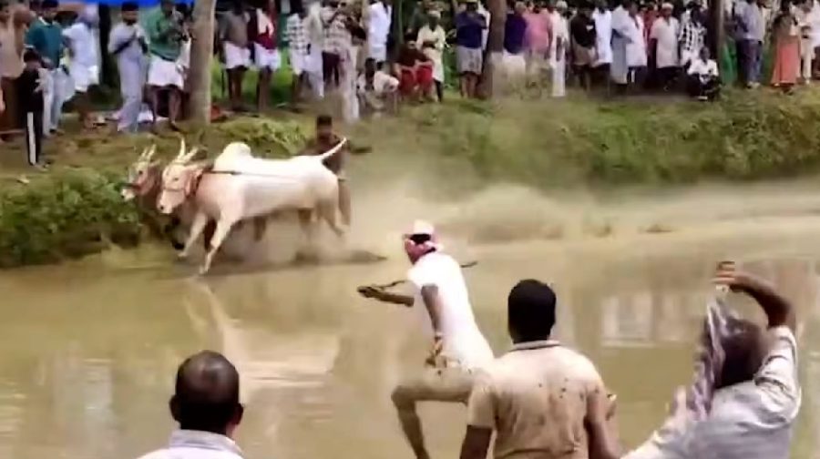 kannupoottu
