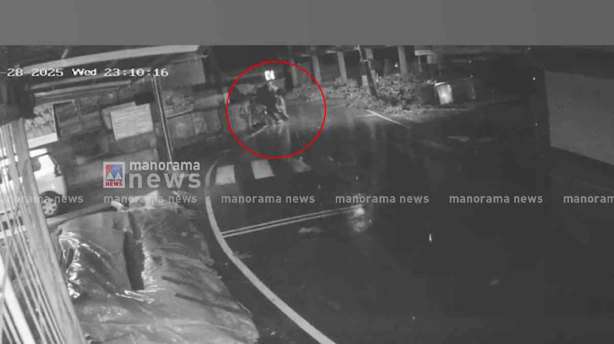 pozhuthana-elephant-attack