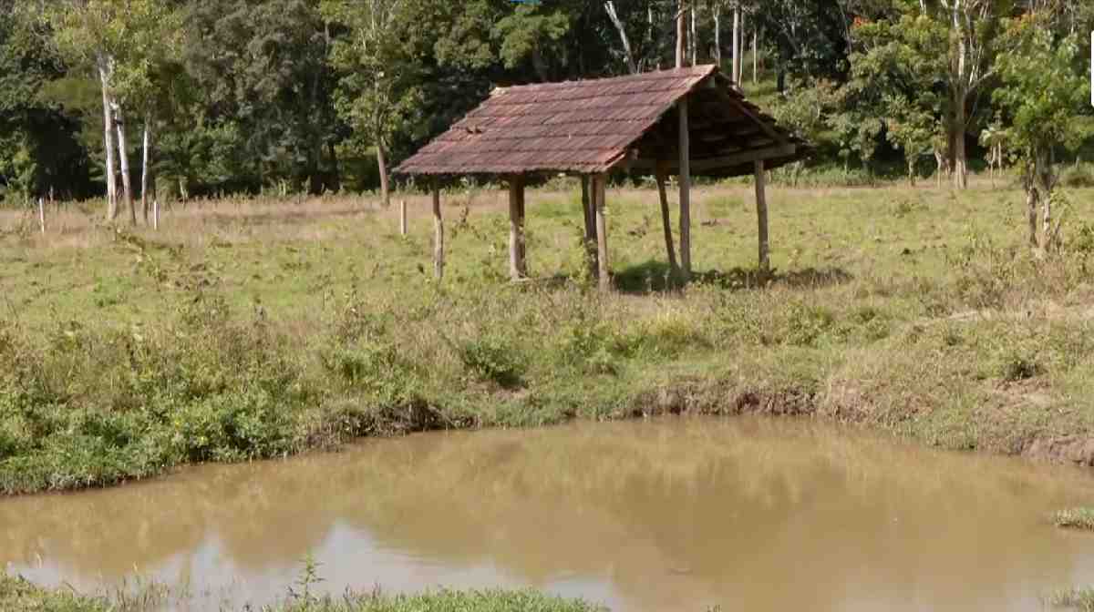 re-build-kerala
