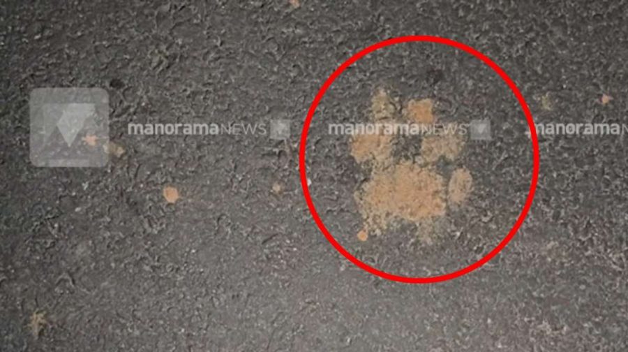 wayanad-tiger-fear-arimula