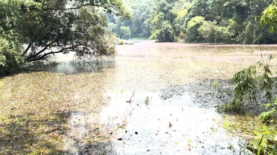 pokode-lake