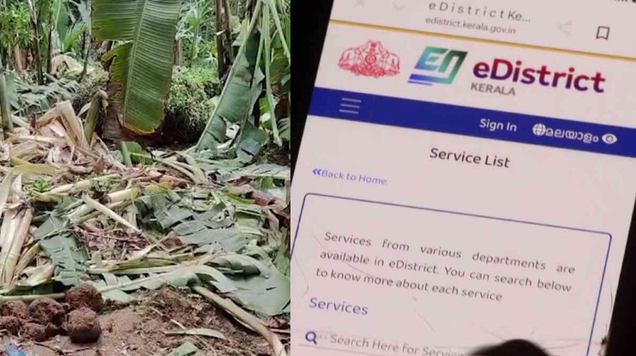 farmers-e-disctrict-portal