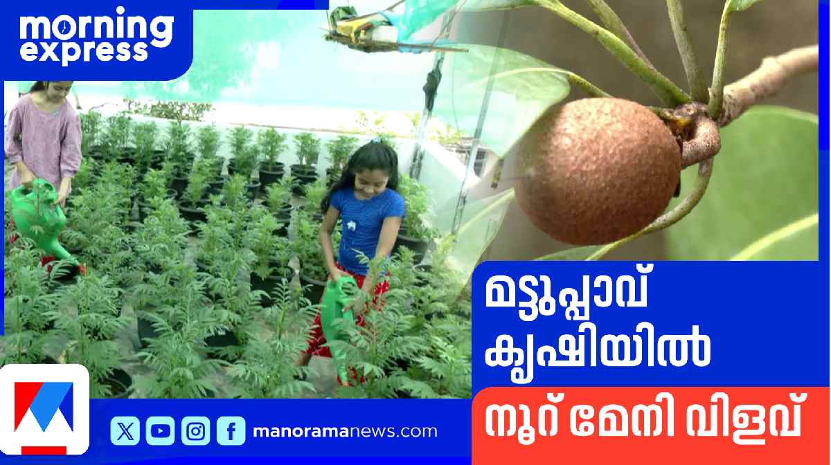 alappuzha-child-farmers