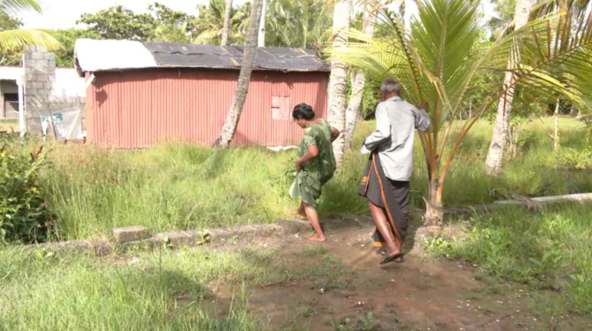 no-vazhi
