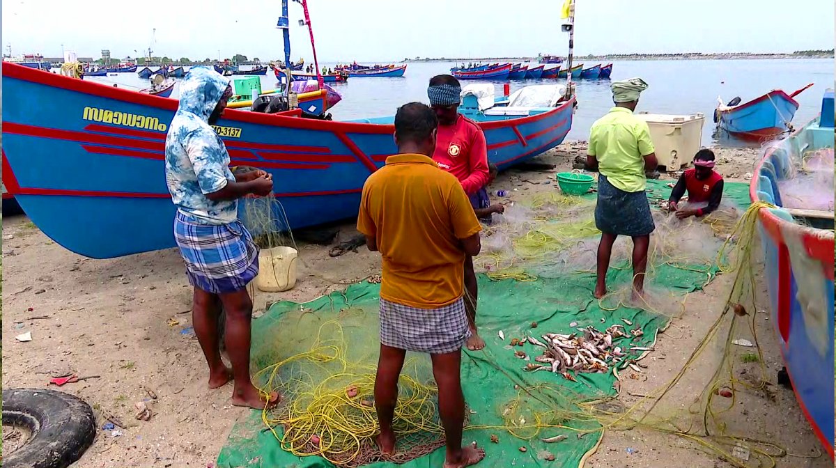 kerala-fish-crisis-trawling-ban-mathi-konjhu-shortage