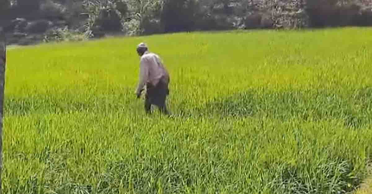 pathanamthitta-farmers