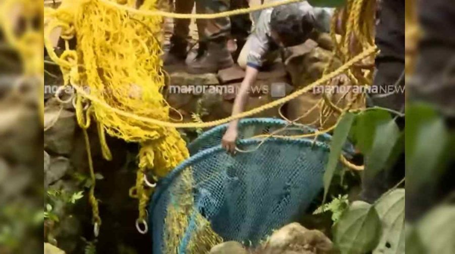 tiger-pathanamthitta-well