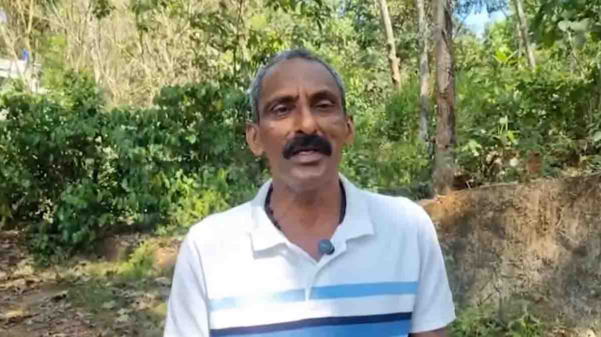 pathanamthitta-tiger