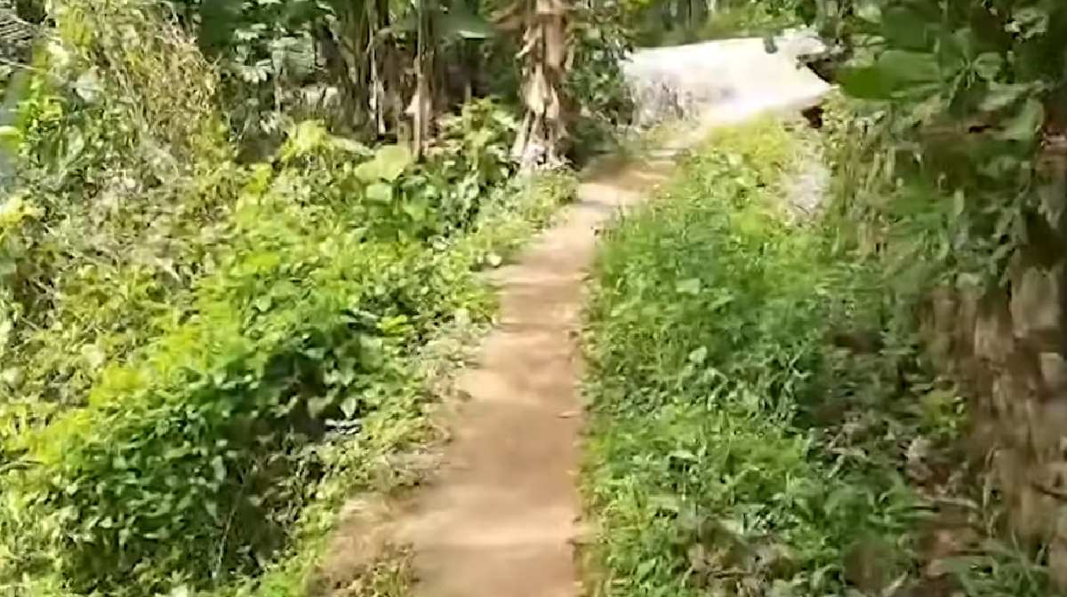 pathanamthitta