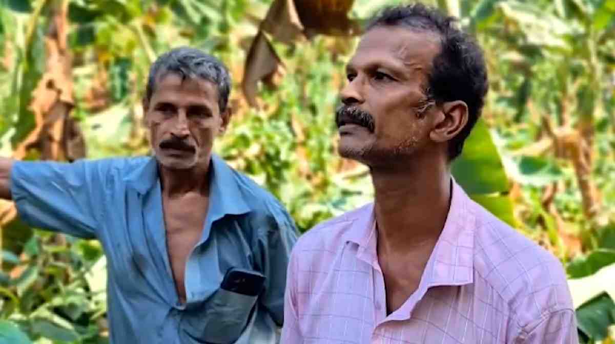 pathanamthitta-farmers
