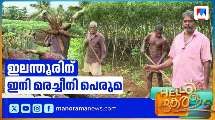 elanthoor