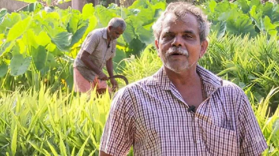 kurambala-farming-revival