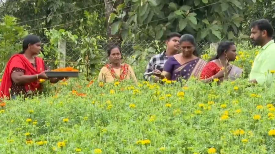 flower-onam